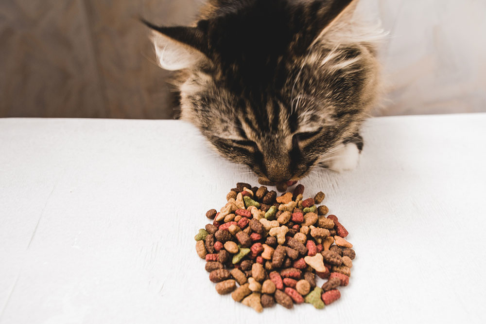 5 Healthy Store-Bought Cat Treat Brands