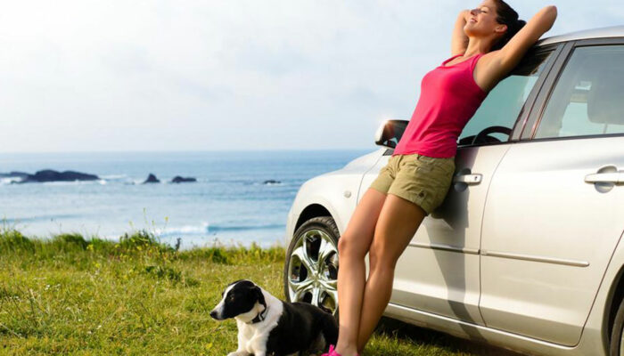 5 Tips for a Pet-friendly Road Trip