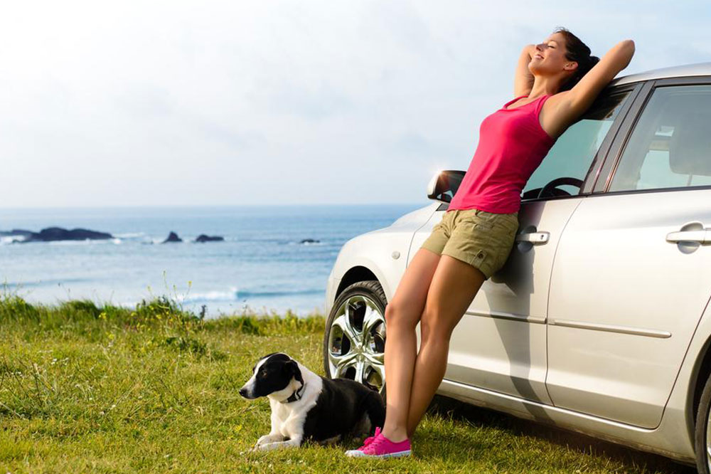 5 Tips for a Pet-friendly Road Trip