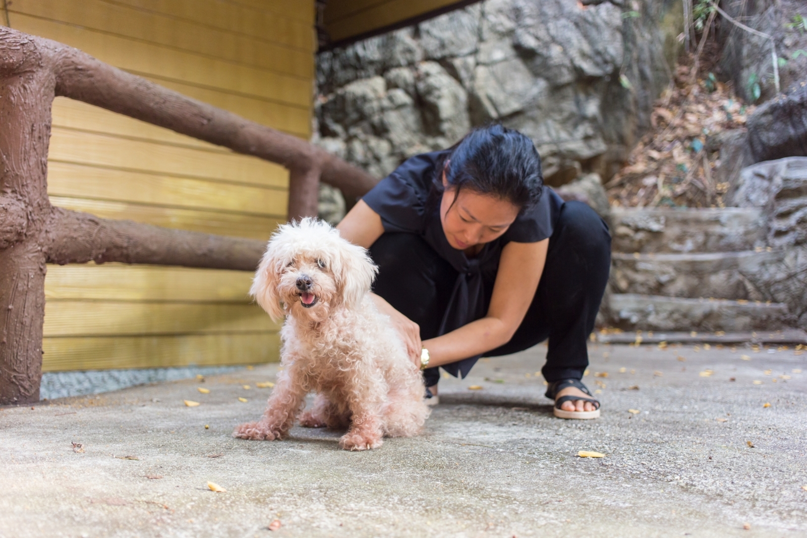 Flea Wars: 7 Smartest Way To Protect Pets This Season